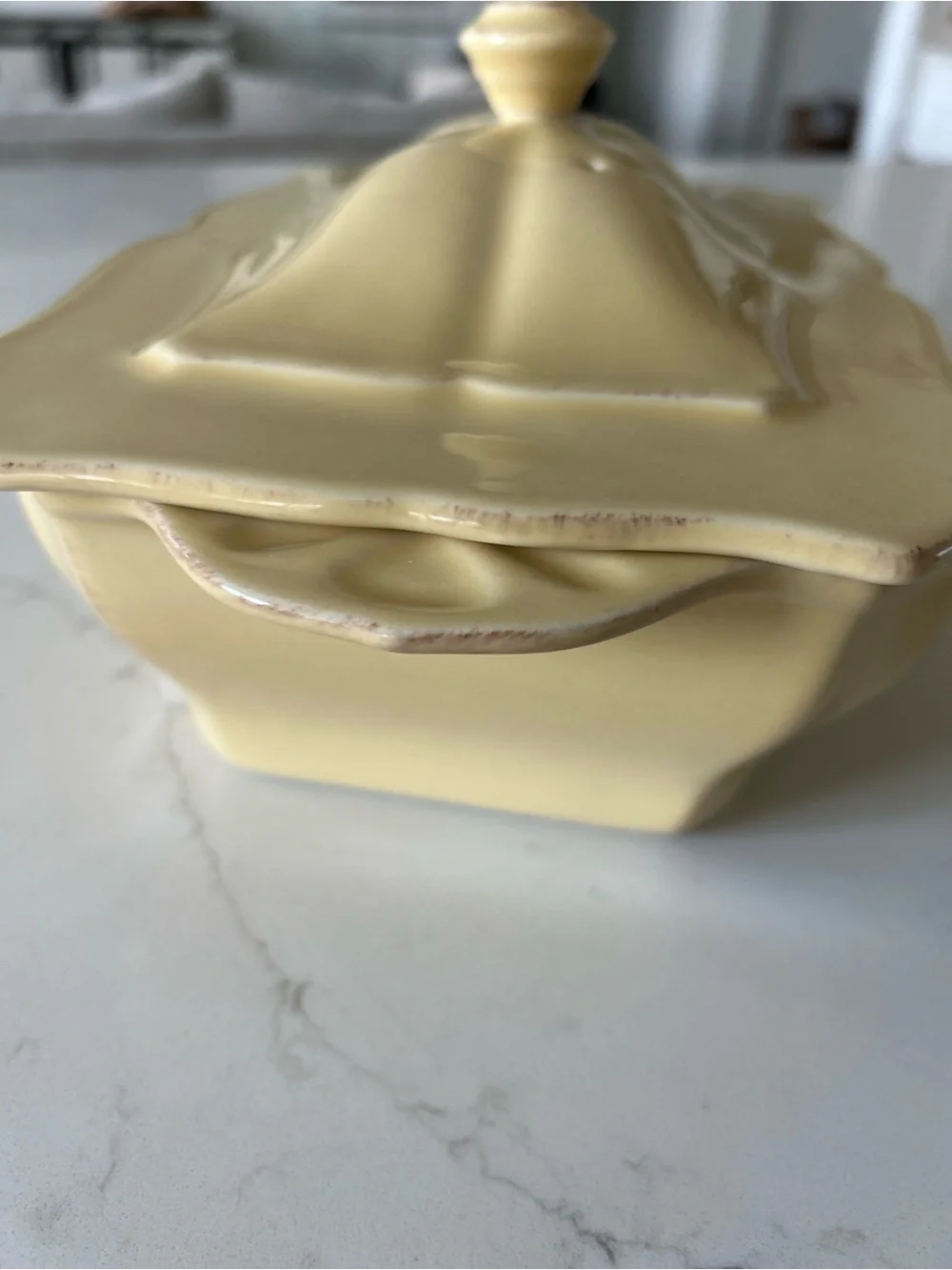 Skyros Designs Yellow Crème Rectangular Baker with Lid **RARE**